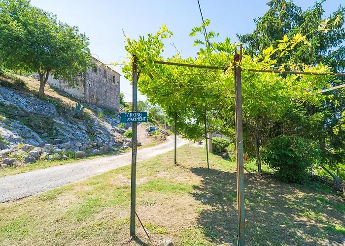 Beautiful In With Wifi * Gruda